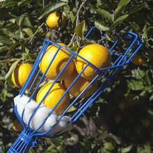 1 pieza Recolector de frutas de plástico - Rojo - Ver 5