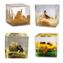 1pc Realistic Insect Habitat Specimen, 4cm-5cm Cubic Bee Pollinating Landscape, Dung Beetle Rolling Dung Landscape, Scorpion Habitat Unique Insect Decor, Micro Landscape Ornament - Multicolor - View 2