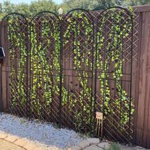 2Pcs X-Tall Strong Garden Metal Vine Trellises Outdoor Climbing Plants Support - Black - View 6