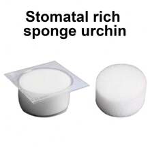 naom 24个/盒纹身浸泡杯盖，一次性纹身浸泡泡沫冲洗杯，用于清洁针头和针尖，专业墨水杯浸泡泡沫清洁杯，纹身清洁用品，母亲节，春季促销 - 彩色 - 查看 6