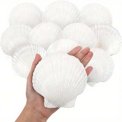 10pcs Large Natural Scallop Shells, 4''-5'' (10-12cm )2''-3''(5-8cm )Large Shell For Crafts, DIY Painting, Baking And Beach Wedding Decorations - Large White Seashells Bulk For Ocean Themed Parties And Home Decor Beach Party Best Gifts Birthday Graduation