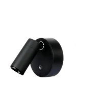 1 件室内可充电电池供电可调节 LED 聚光灯、地板灯、图片/艺术品重点照明灯，用于装饰您的空间