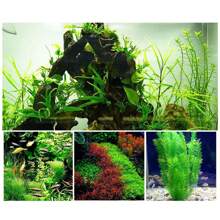 RGB Color Clamp Fish Tank Light,Aquarium Light,Full Spectrum Planted Tank Lamp,USB High Brightness LED Aquarium Light, White & Blue Spectrum For Aquatic Plants,Suitable For Round And Square Fish Tanks
