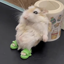 1 par de lindas zapatillas de casa con diseño de hámster de dibujos animados y oso dorado, zapatillas de casa coloridas, zapatillas de tiburón en miniatura, accesorios para fotos, zapatos de muñeca