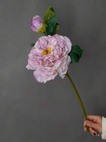 1pc Realistic New 2-Head Peony Vintage Style Home Living Room Decoration Fake Flower Arrangement, Valentine's Day, Gift - Multicolor - View 19