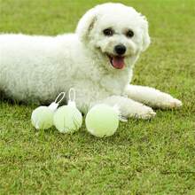 Leuchtender Gummiball für Hunde - Strapazierfähiges, kaubeständiges Spielzeug, geeignet für alle Hunderassen - Interaktives Spiel, förderlich für die Zahngesundheit - Weiss - Übersicht 1