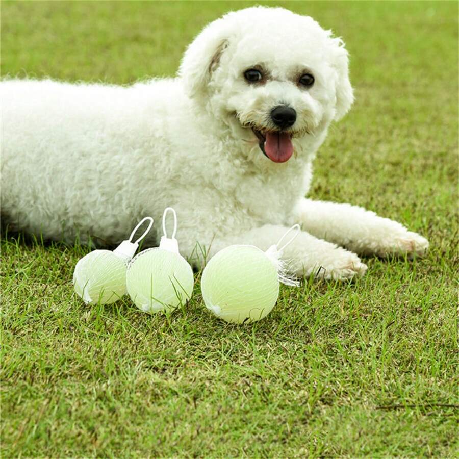 Leuchtender Gummiball für Hunde - Strapazierfähiges, kaubeständiges Spielzeug, geeignet für alle Hunderassen - Interaktives Spiel, förderlich für die Zahngesundheit - Weiss - Übersicht 1