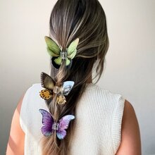 Piranha Butterfly BeautifulPMMA - 墨綠色 - 查看 3