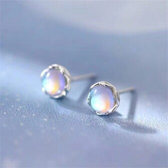 2pcs 925 Sterling Silver Fashion Glow In The Dark Circular Decor Earrings, Elegant Design For Women's Daily Wear