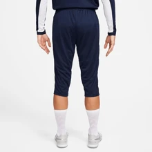 Nike Dri-FIT Academy M Shorts DR1365-451