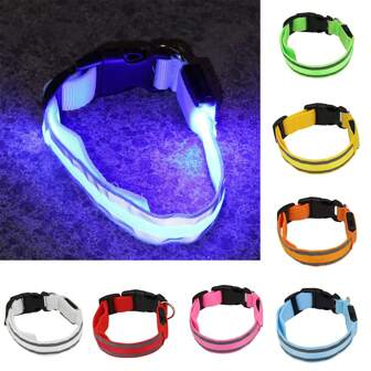 LED 狗项圈，发光狗项圈可调节电池型号超亮发光狗项圈