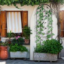 2Pcs X-Tall Strong Garden Metal Vine Trellises Outdoor Climbing Plants Support - Black - View 7