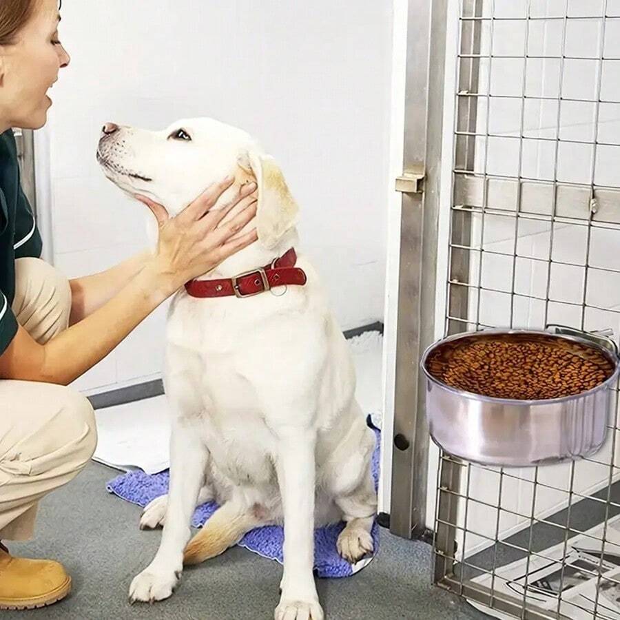 stainless-steel-pet-bowls-feeding-and-drinking-bowls-for-dogs-cats