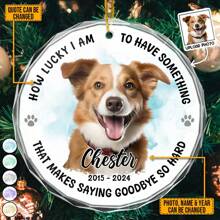 Catygift 定制照片 - 深切缅怀您挚爱的宠物 - 个性化玻璃饰品 - 宠物爱好者纪念礼物、生日或毕业礼物 - As Shown - 查看 5