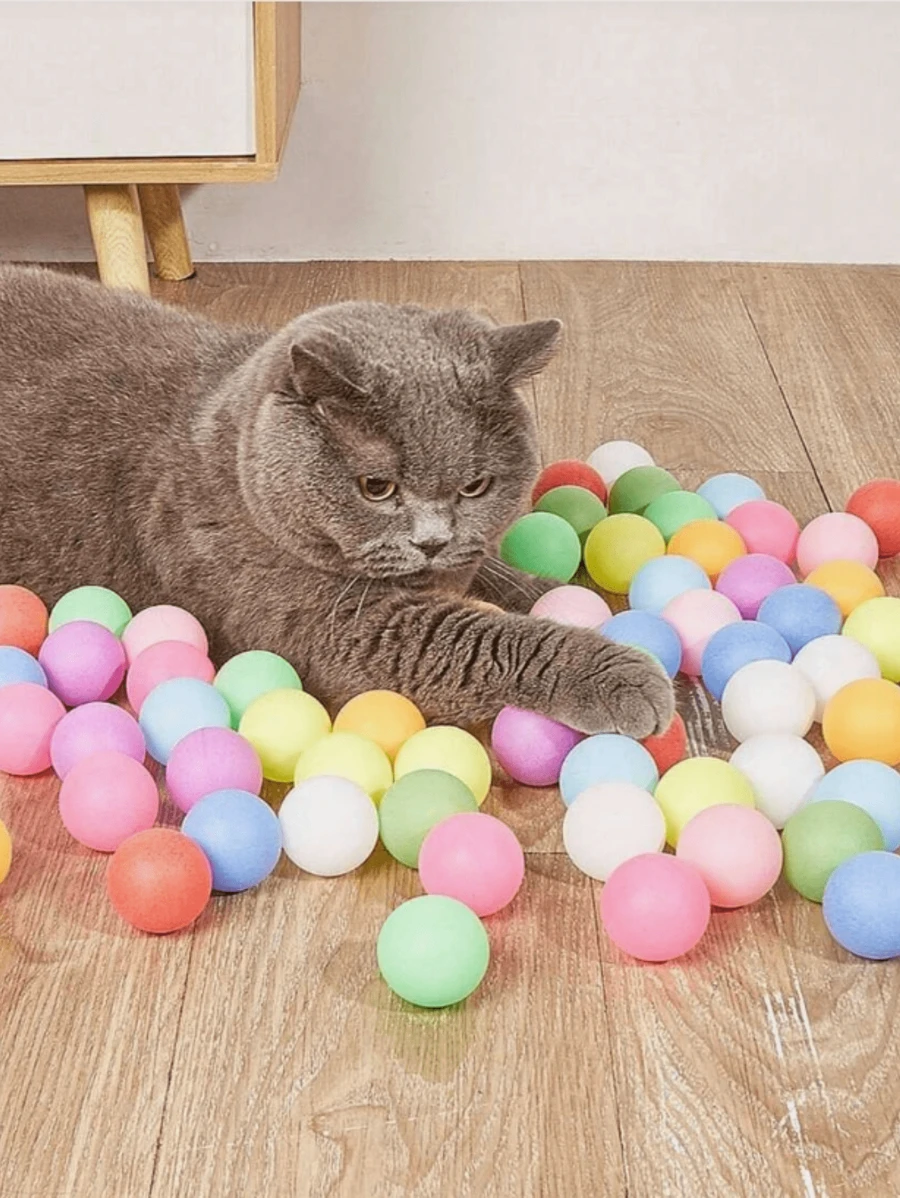 10pcs/20pcs/30pcs Colorful Ping Pong Cat Toys, Random Color - Multicolor - View 1