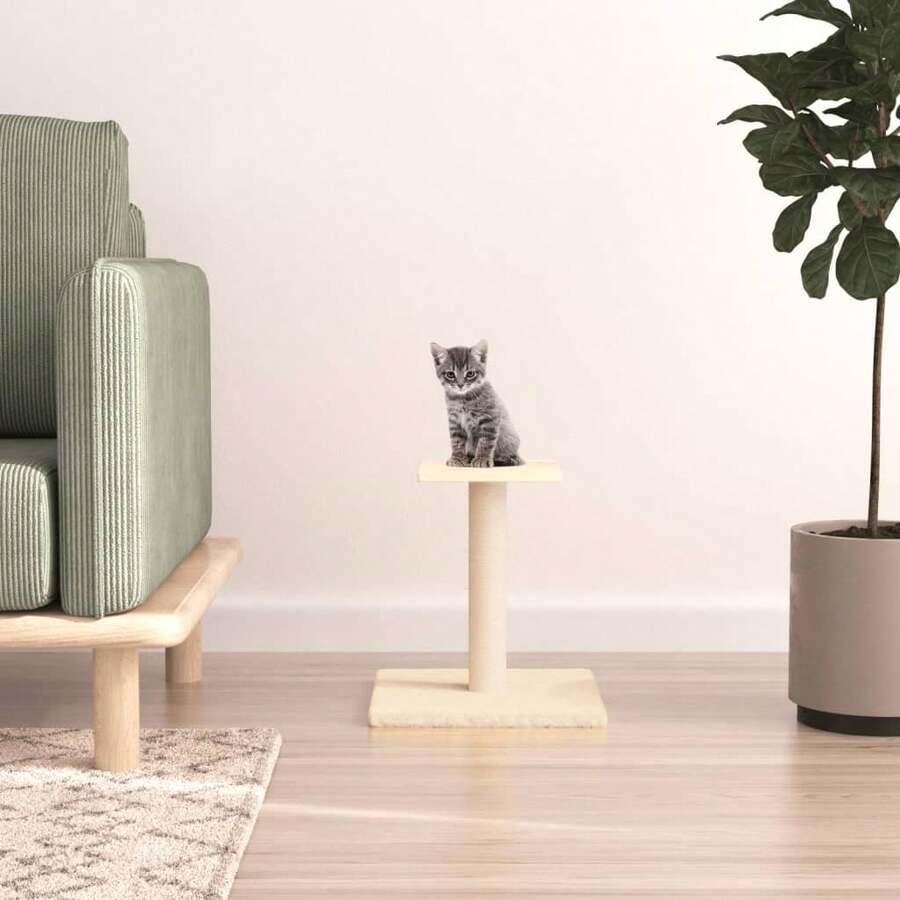 Snapshot of Raised Cat Platform For Active Cats