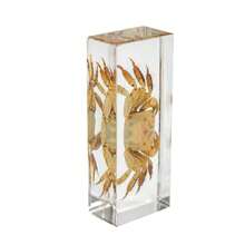 1 件大型盒装昆虫标本套装，包括真正的 8 条腿巨型蜘蛛、蝗虫、竹节虫、螳螂、甲虫、螃蟹、千足虫和巨型蝎子树脂水晶工艺品，50 多个永久保存的巨型蜈蚣有毒动物模型