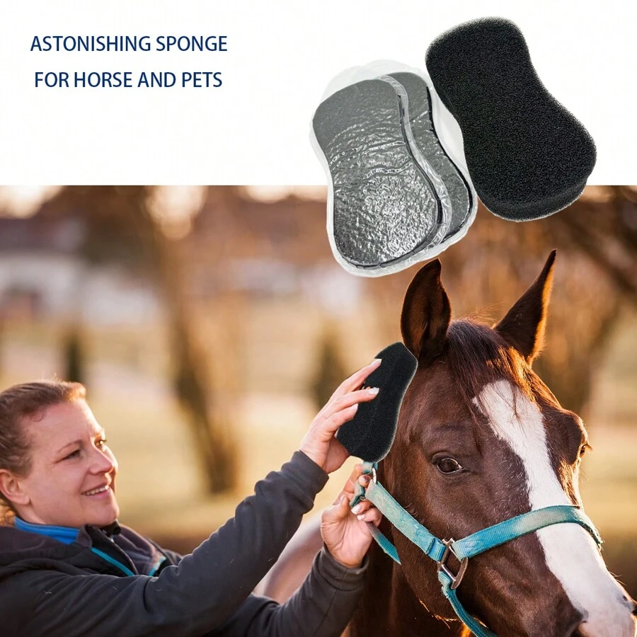 1pc Horse Grooming Sponge, Hard Filter Sponge For Removing Floating Dust - Black - View 1