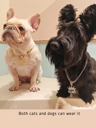 1 件全水钻皇冠“KING”字母吊坠，厚实的金色合金链项链，猫狗宠物项圈，闪亮，嘻哈，复古，朋克风格，装饰