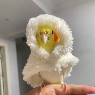 Comfortable Peony & Bird Print Thick Warm Parrot Cloak Hoodie Jacket For Outdoor