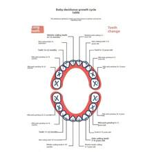 Baby Tooth Fairy Collection Memory Box, Tooth Keepsake Box For Baby Milk Teeth, Hair & Umbilical Cord Storage Baby Shower Easter Gifts Things For Girls/Boys - Multicolor - View 9