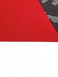 Contrast Color Print Long Sleeve Sports Suit Set, Crew Neck Black Spring - Black - View 4