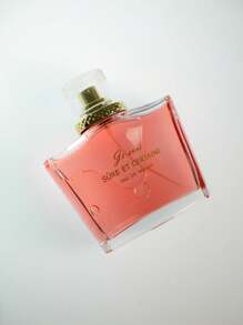 PERFUME DE MUJER - JE SUIS SURE ET CERTAIN - EAU DE PARFUM - 100ML-Perfume clásico para mujer - Fragancia floral suave y duradera, ideal para uso diario