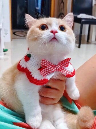 1 件可爱草莓宠物围巾适合中小型猫和狗