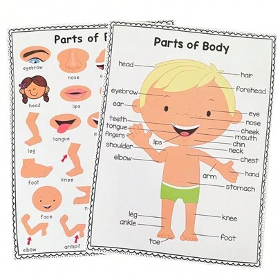 2 Pcs Body Parts Posters Kid Learning Cognition Card ,Preschool Posters Wall Charts Classroom Decorations Children's Room Wall Decor Decor A4 Educational Posters