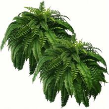 2pcs Elegant Artificial Boston Fern Plant - 21 Leaves Lifelike Large Faux Greenery For Indoor And Outdoor Decor, Complex Home Decoration, Easy Maintenance, Valentine's Day, Gift