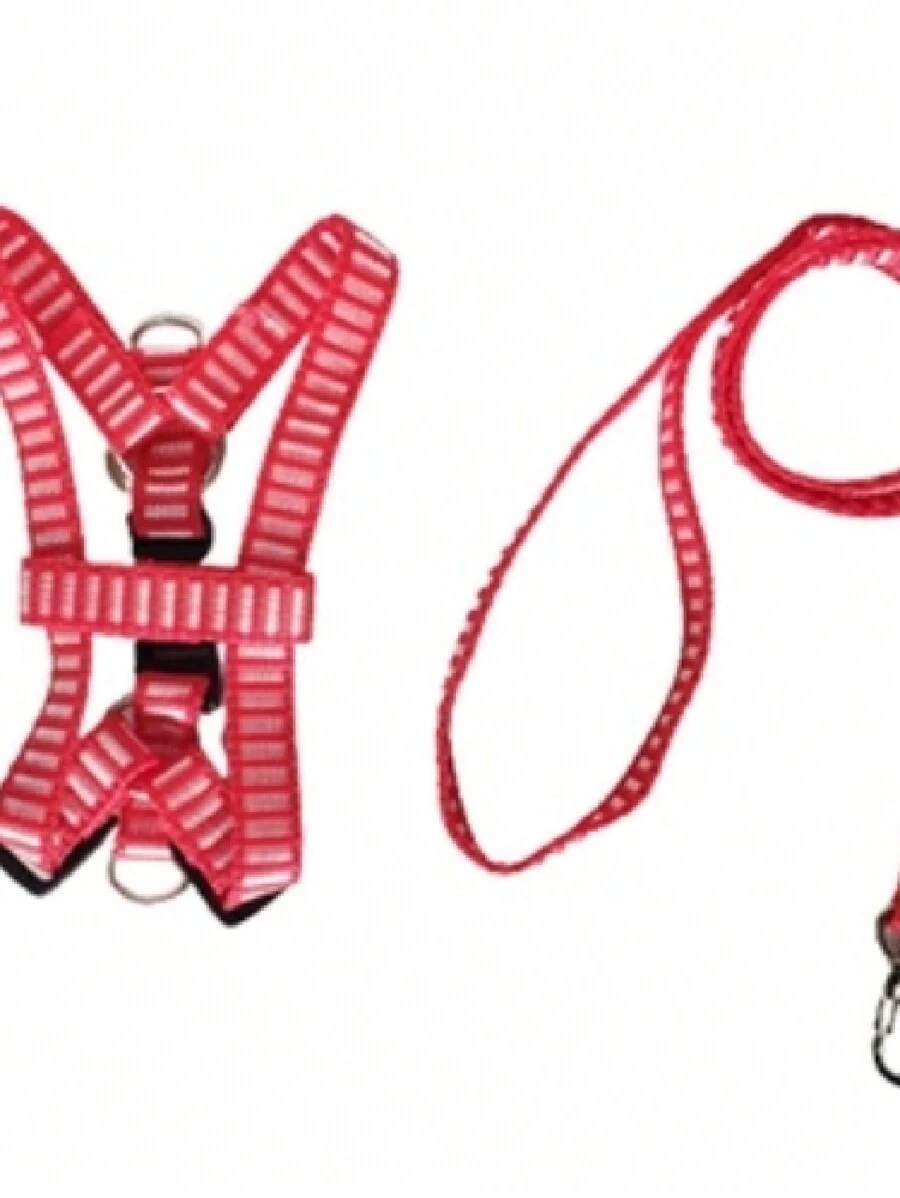 Simple Nylon Dog Leash And Harness - No. 5 - 彩色 - 查看 1