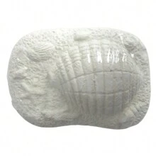 Multikids Treasure Hunt Toy Ocean Excavation Kit - Màu xanh lam - Xem 5