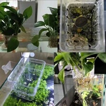 Aquarium Plant Holder Cup, Wall-Mounted Fish Tank Aquatic Plant Planter Cup, Easy To Install For Submerged And Floating Aquatic Plants Decoration