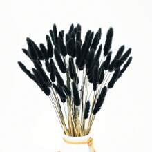 60/120 件天然干花装饰，天然干兔尾草花，干蒲苇，用于家居装饰、婚礼装饰、派对装饰、DIY 工艺、拍摄道具、主题装饰，17.7 英寸（白色）礼物生日毕业，秋季装饰，秋季