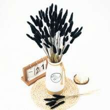 60/120 件天然干花装饰，天然干兔尾草花，干蒲苇，用于家居装饰、婚礼装饰、派对装饰、DIY 工艺、拍摄道具、主题装饰，17.7 英寸（白色）礼物生日毕业，秋季装饰，秋季