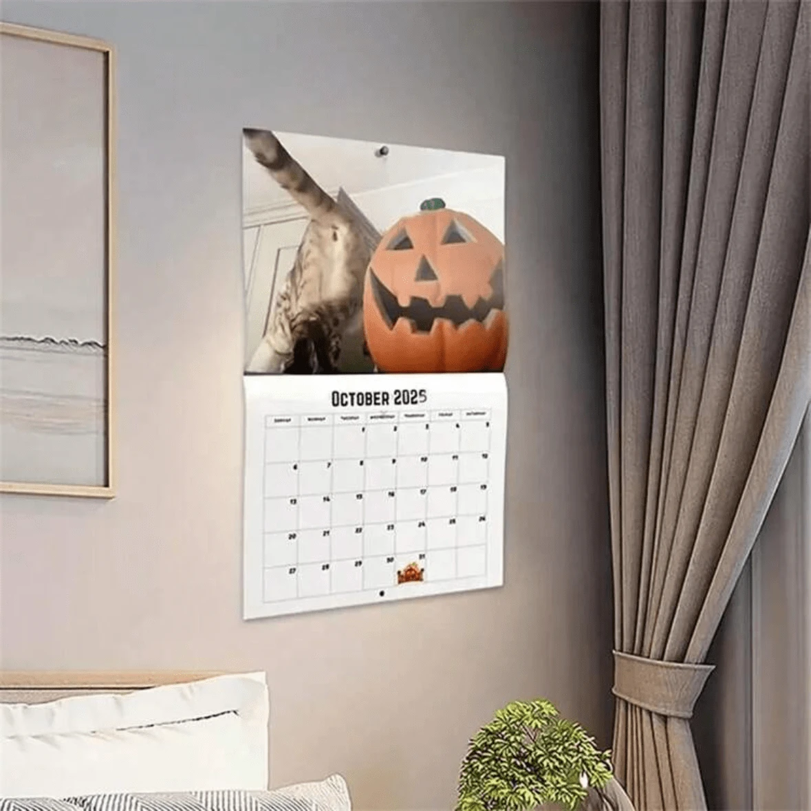 Cats Buttholes Calendar Weird Wall Calendar 2025 Funny Cat Home