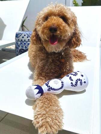 Funny Cute Durable Unique Dog Plush Toy With Squeaker For Small Medium Dogs - Cute Dog Gifts For Dog Birthday - Cute Dog Toy With Squeaky