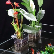 Aquarium Plant Holder Cup, Wall-Mounted Fish Tank Aquatic Plant Planter Cup, Easy To Install For Submerged And Floating Aquatic Plants Decoration