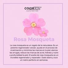 Facial Serum Cocktail Colorton Skincare Snail Slime Rosehip Collagen Elastin - SERUM COCKTAIL - View 3