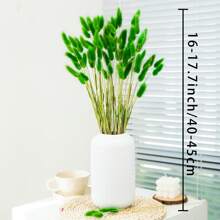 60/120 件天然干花装饰，天然干兔尾草花，干蒲苇，用于家居装饰、婚礼装饰、派对装饰、DIY 工艺、拍摄道具、主题装饰，17.7 英寸（白色）礼物生日毕业，秋季装饰，秋季