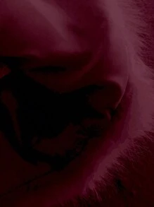 Chaqueta elegante casual y de alta gama con efecto de piel de borrego en el cuello para uso diario