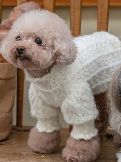 1pc White Puff Sleeve Fluffy Lace Pet Top Suitable For Cats And Dogs, Suitable For Winter