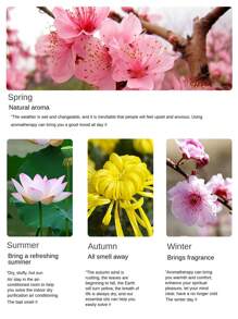 20ml wasserlösliche Duftessenzöle, Minze/Sandelholz/Kölnisch Wasser/Zitrone/Rose/Lavendel, für Aroma Diffuser/Luftbefeuchter und Verwendung im Zuhause/Schlafzimmer, Valentinstag Valentinsartikel, Hochzeitsartikel