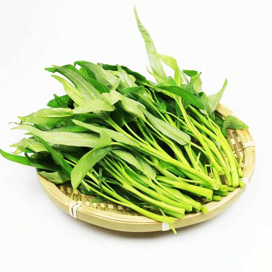 2000pcs-hole-xincai-seeds-green-leafy-vegetable-seeds-for-planting