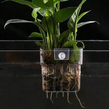 Aquarium Plant Holder Cup, Wall-Mounted Fish Tank Aquatic Plant Planter Cup, Easy To Install For Submerged And Floating Aquatic Plants Decoration