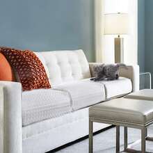 2cm Sharp Tip Transparent Plastic Cat Spike Mat, Cat Deterrent For Indoor And Outdoor Use, Humanely Prevent Cats From Climbing - White - View 4