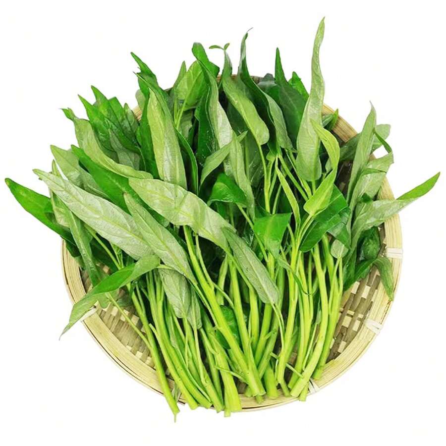 2000pcs-hole-xincai-seeds-green-leafy-vegetable-seeds-for-planting