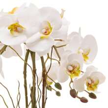 Silicone Orchid Arrangement With 4 Stems In Luxury Silver Mirrored Vase - trắng - Xem 3