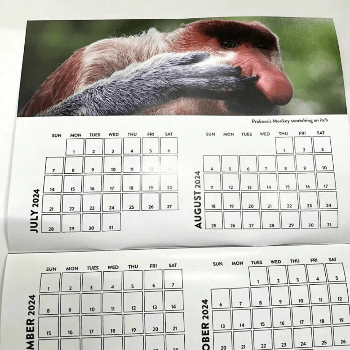 1pc 2025 Funny Landscape Calendar, With Humorous Mountain And Nature