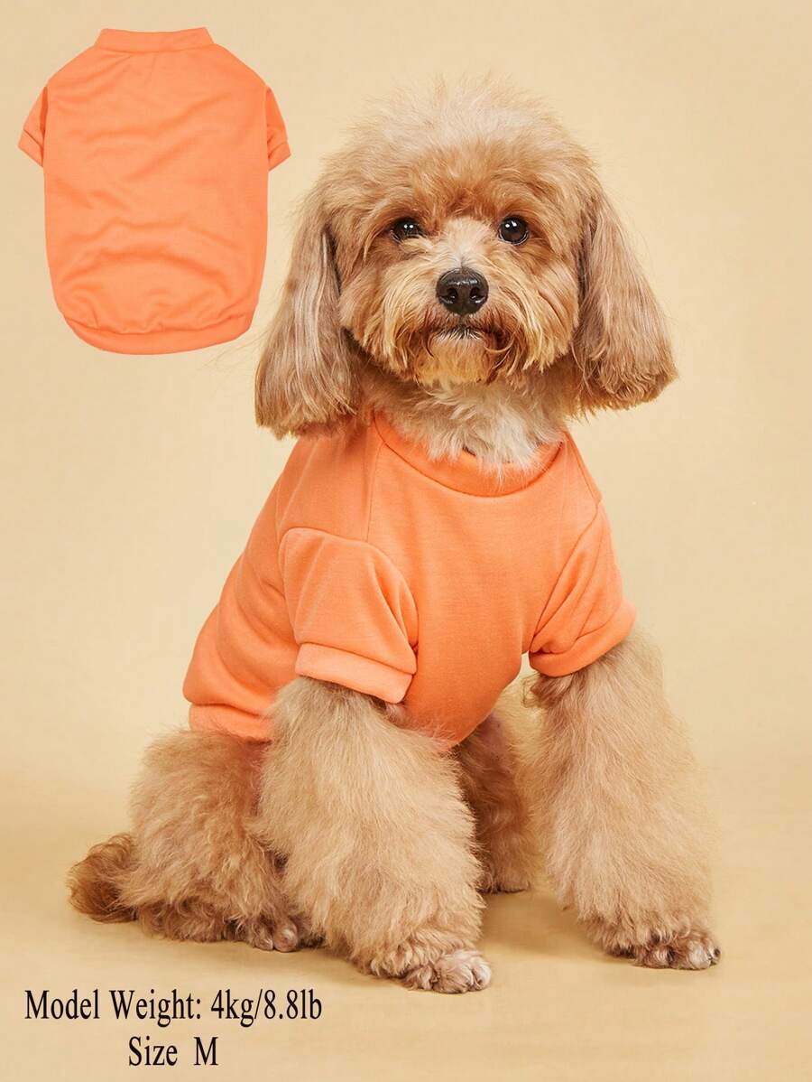全新纯色短袖透气宠物 T 恤，猫狗小型犬圆领 T 恤